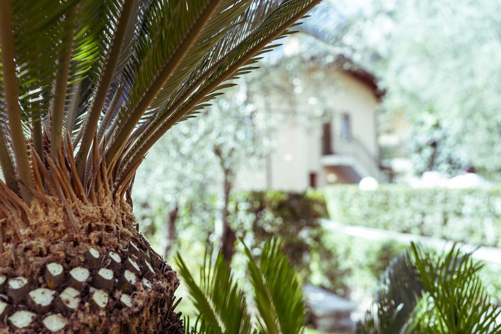 Hotel Ilma Lake Garda Resort Лимоне-суль-Гарда Экстерьер фото